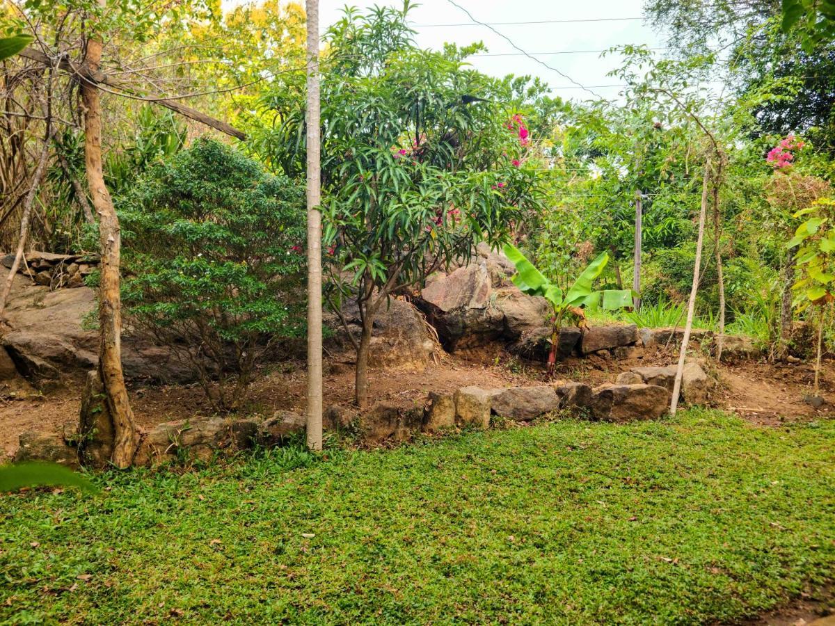 Woodholic Homestay สิกิริยา ภายนอก รูปภาพ