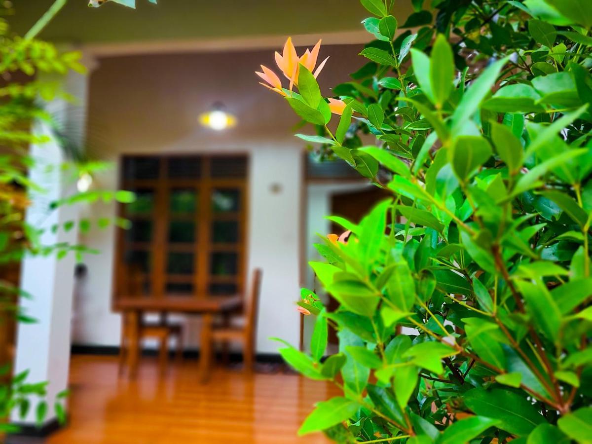 Woodholic Homestay สิกิริยา ภายนอก รูปภาพ