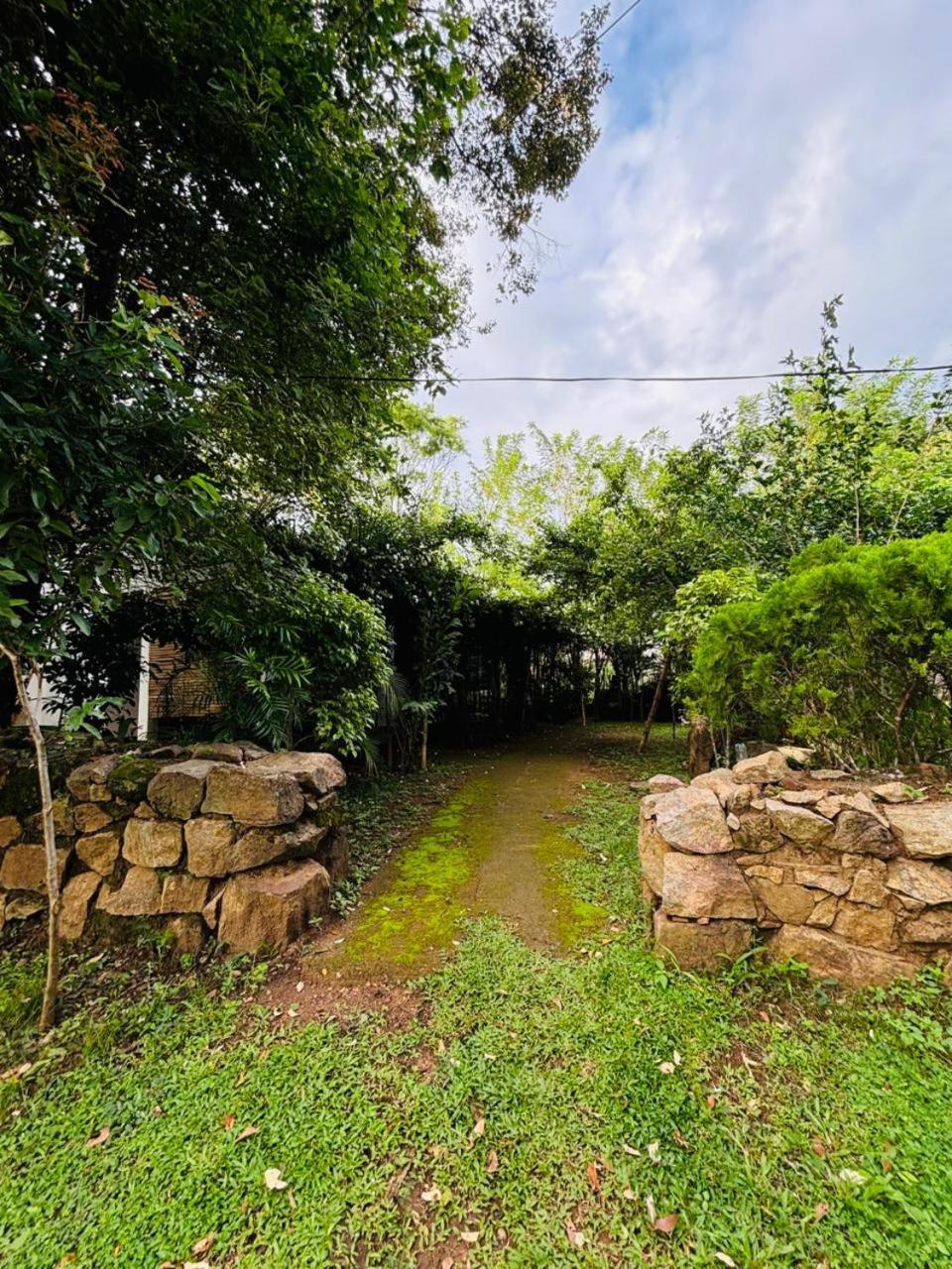Woodholic Homestay สิกิริยา ภายนอก รูปภาพ