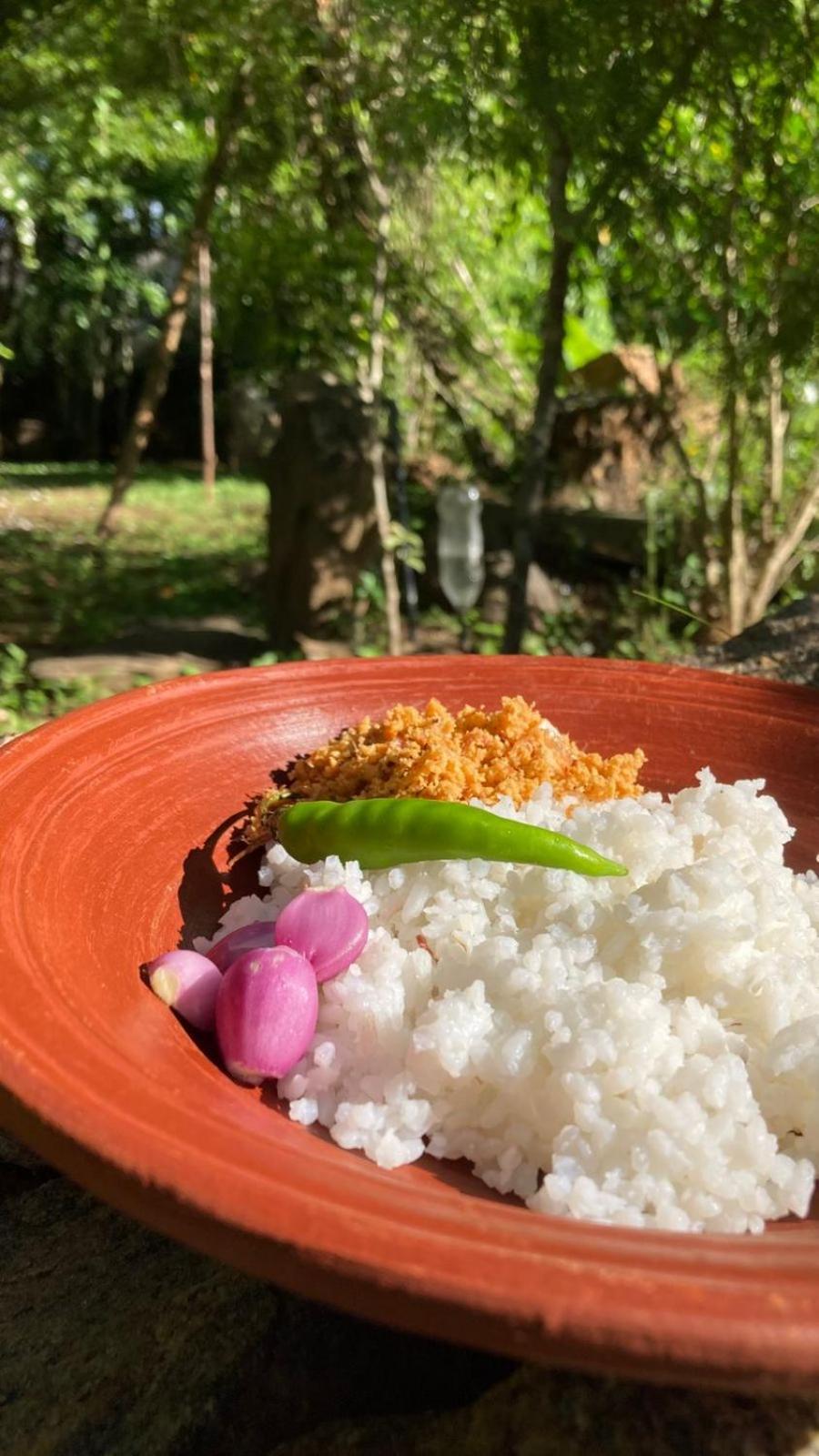 Woodholic Homestay สิกิริยา ภายนอก รูปภาพ