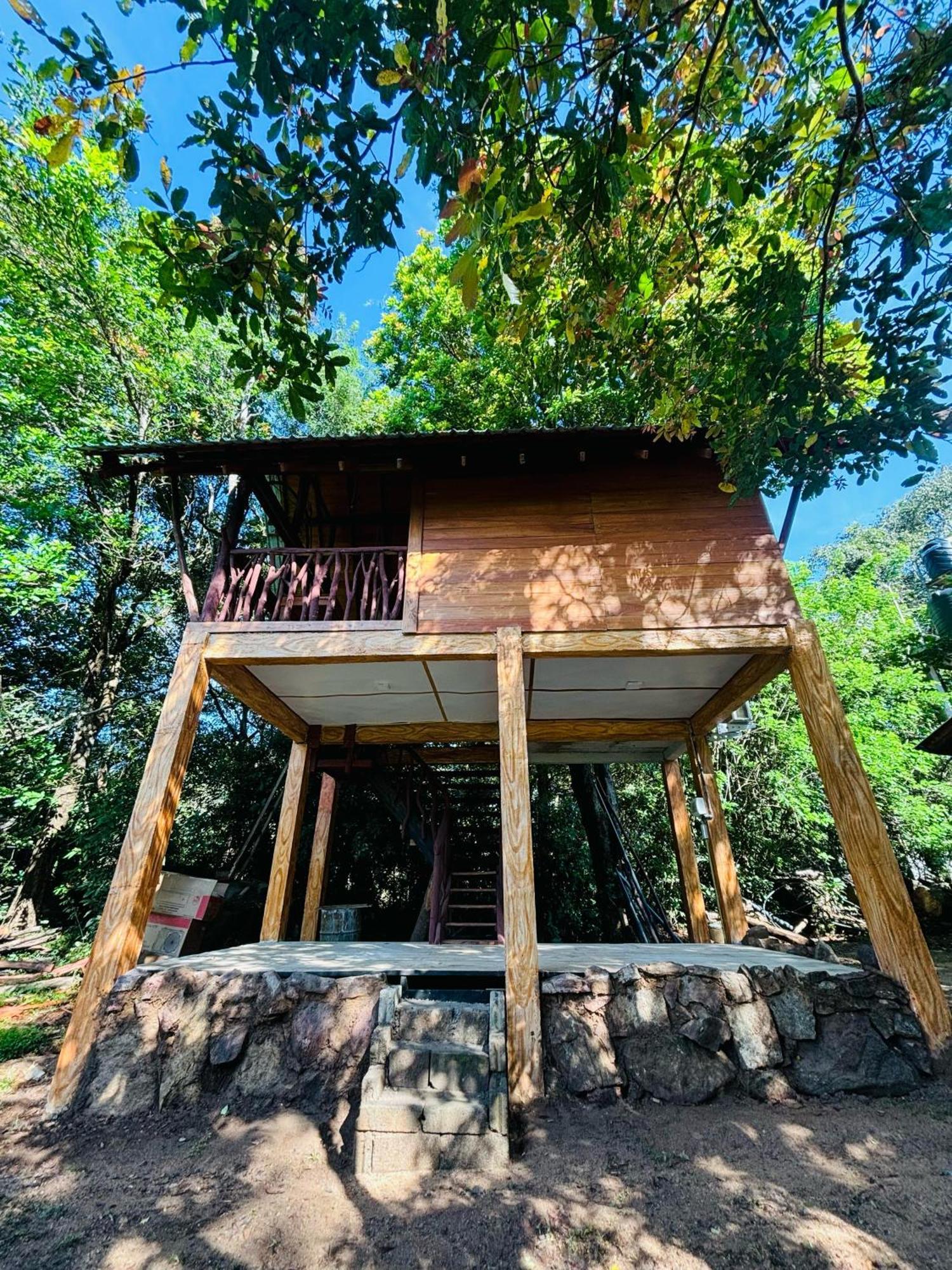 Woodholic Homestay สิกิริยา ภายนอก รูปภาพ